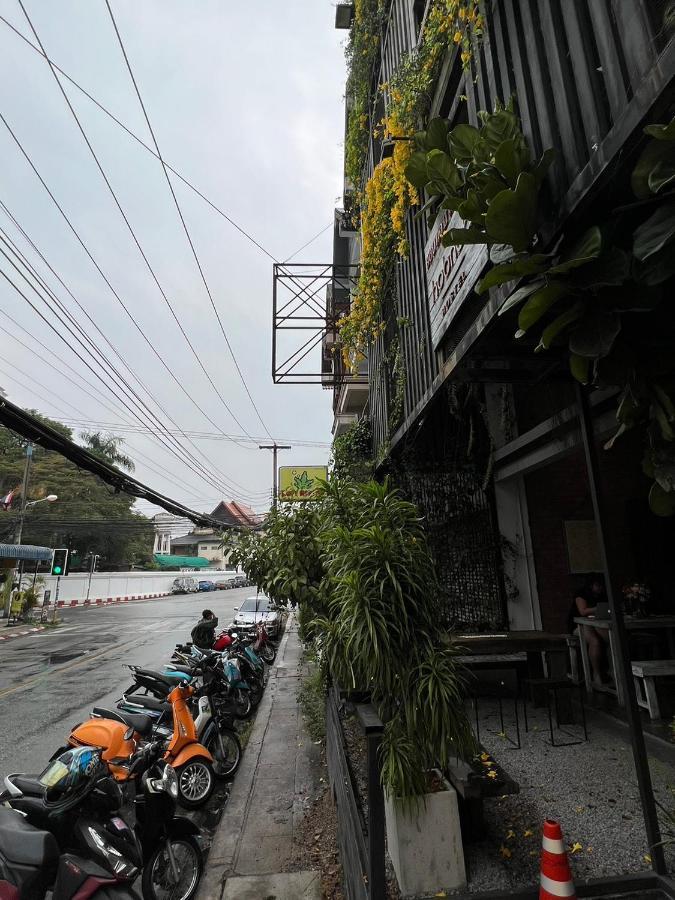 Hobnob Hostel (Adults Only) Chiang Mai Eksteriør bilde